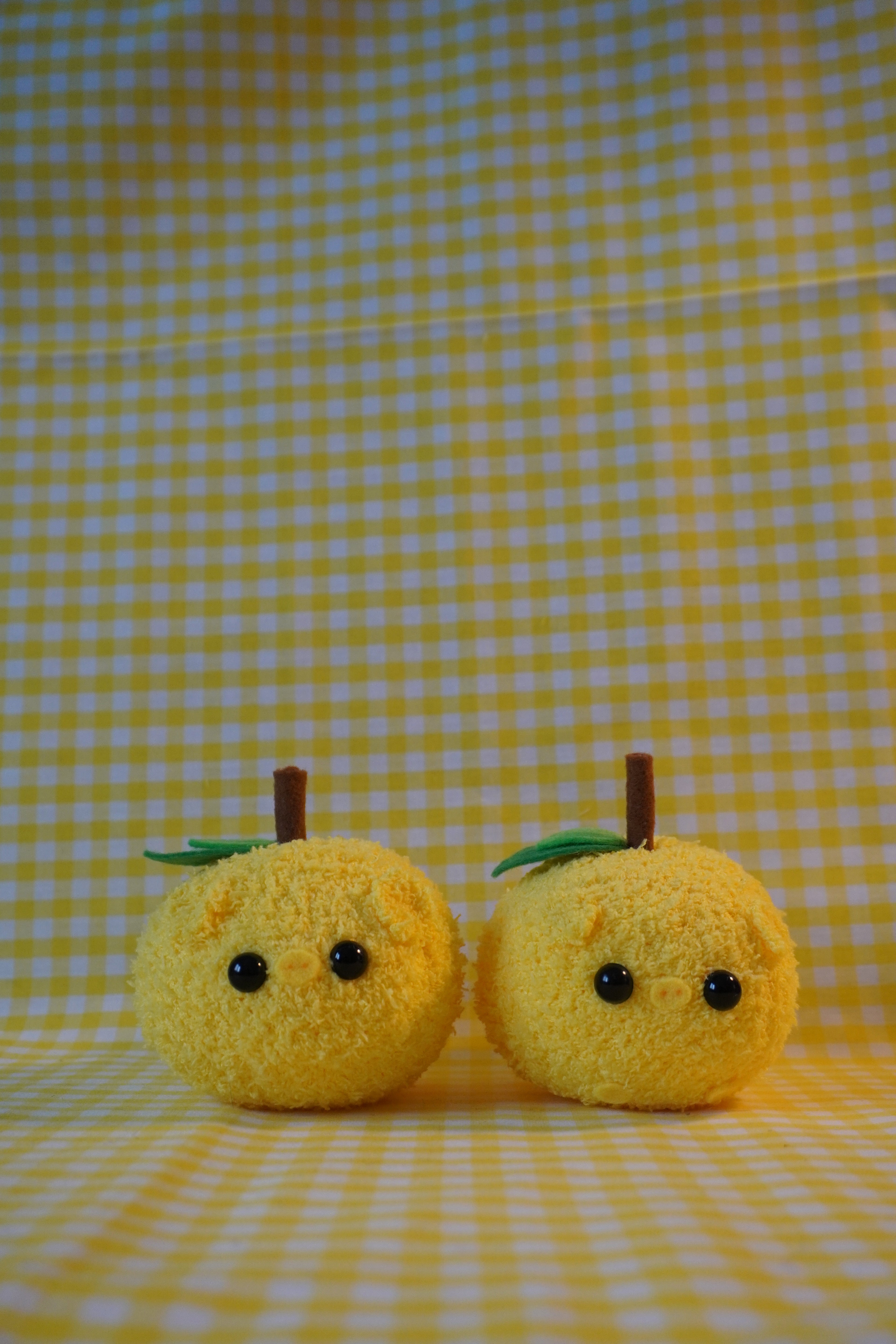 The Lemon Worry Pig