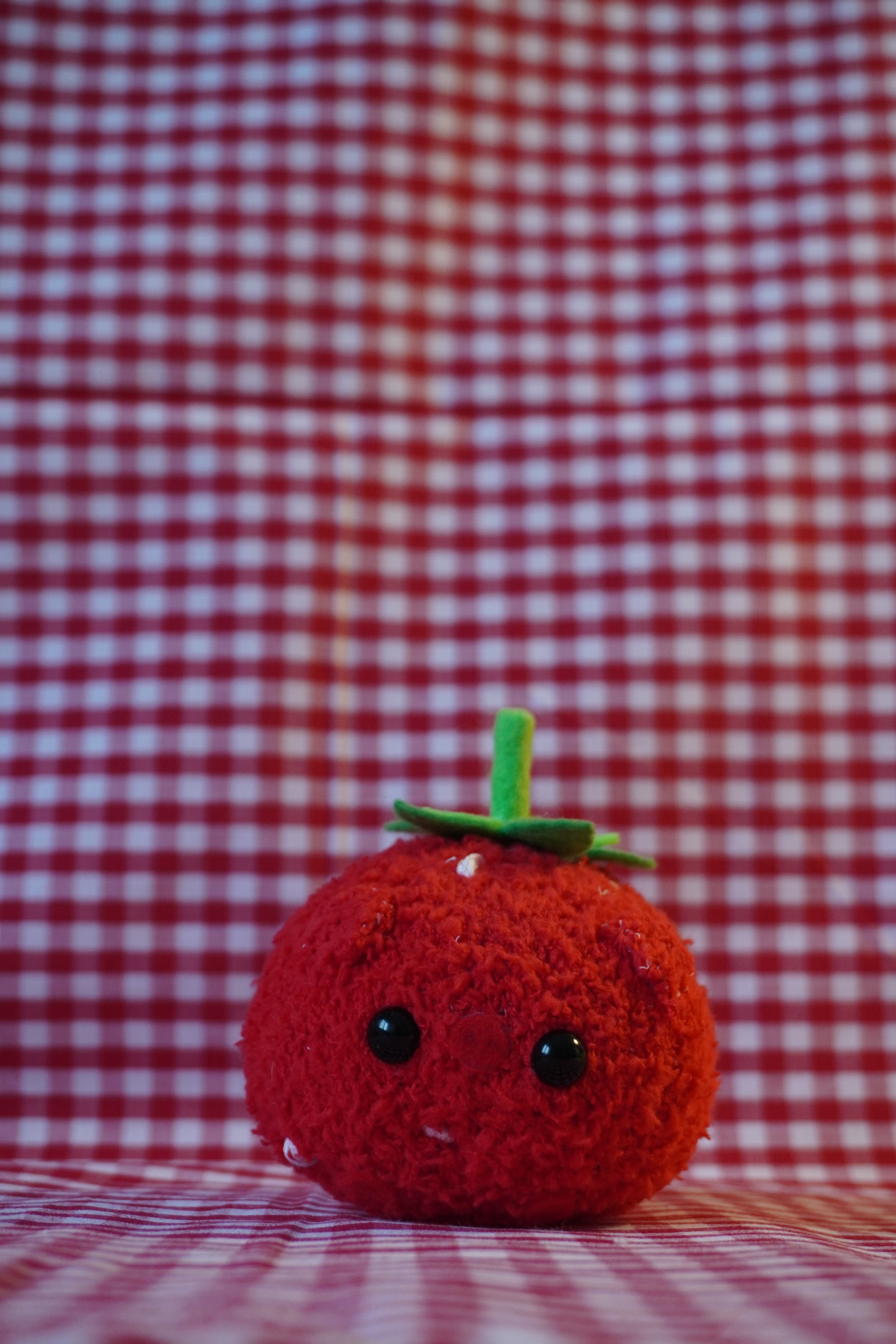 Strawberry Worry Pig