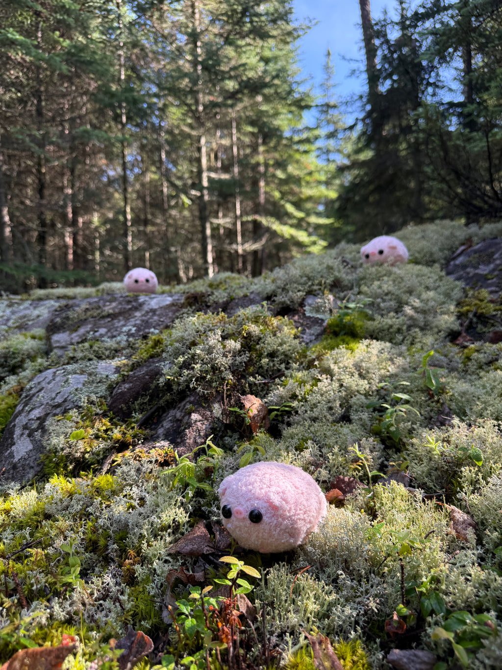 The Original Worry Pigs