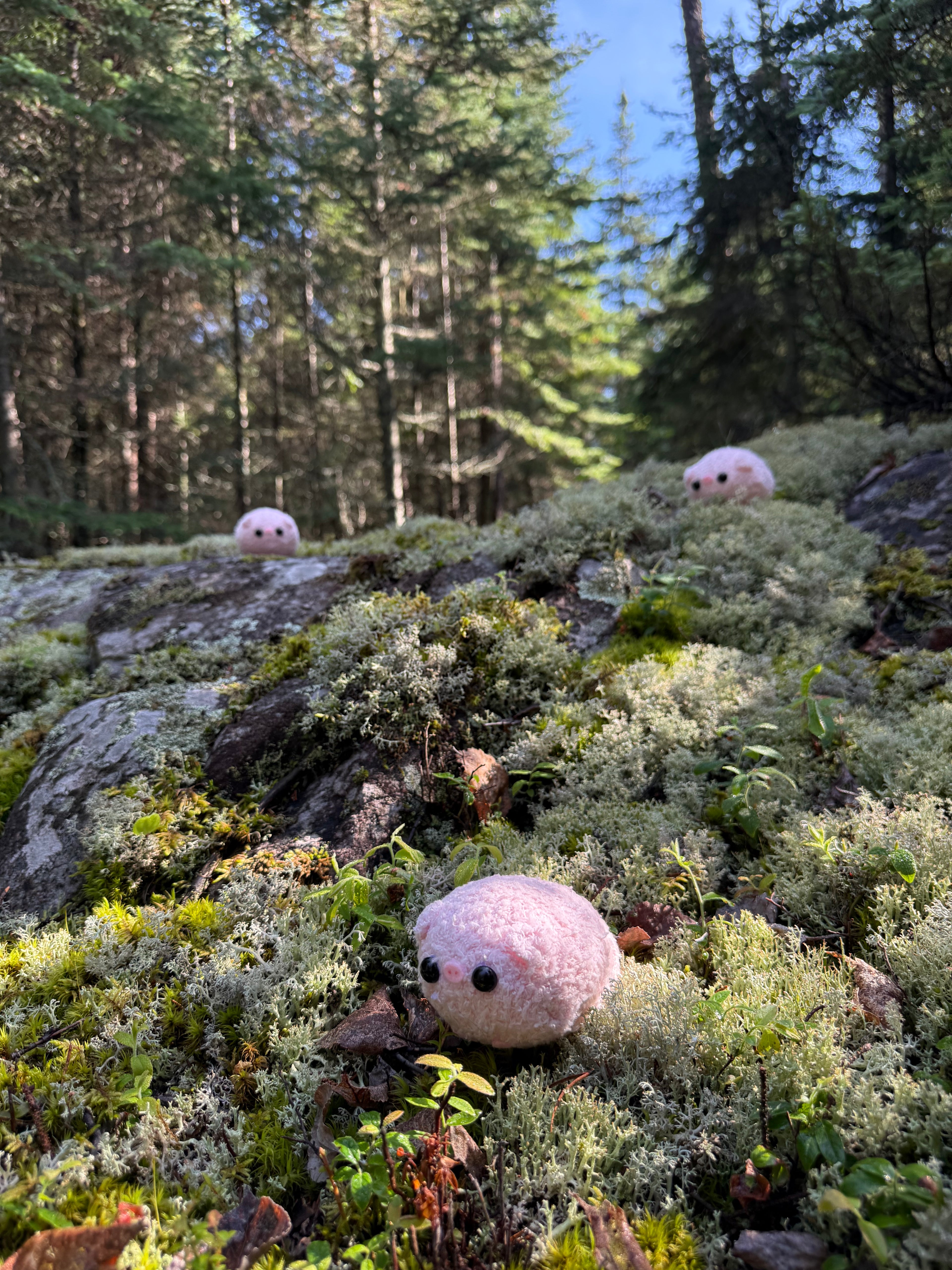 The Original Worry Pigs