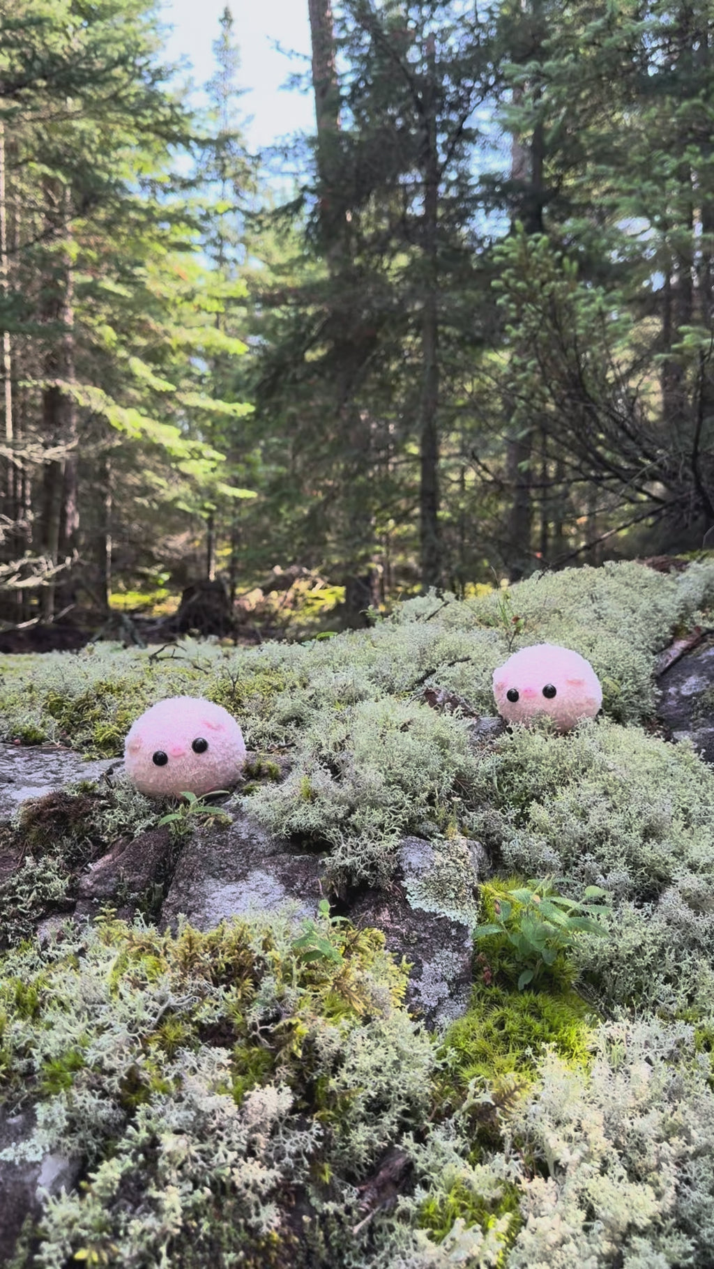 The Original Worry Pigs