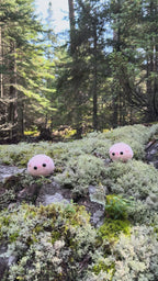 The Original Worry Pigs